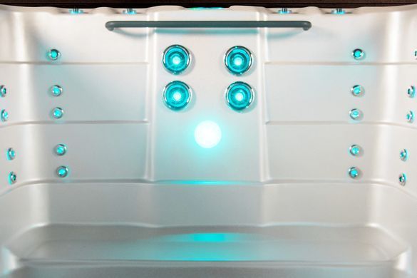 Гідромасажний басейн СПА AQUAGYM MAX Vortex Spas