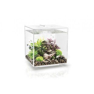 Аквариум biOrb CUBE 30 LED, белый - 72019