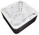 Бассейн СПА WELLIS MYLINE HOLIDAY LET SPA