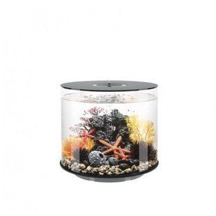 Аквариум biOrb TUBE 35 LED, черный - 72070