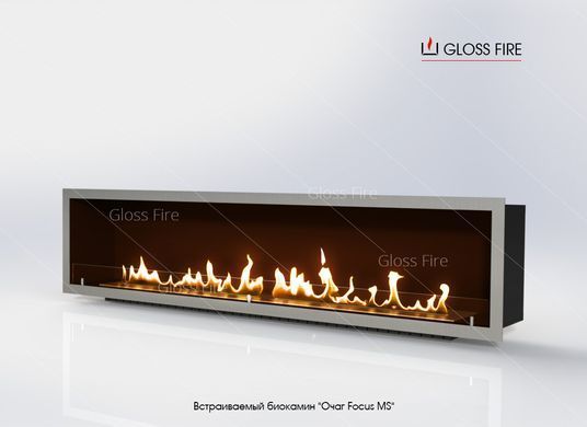 Біокамін вбудовуваний Очаг Focus MS-008 GlossFire