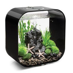 Аквариум biOrb LIFE 30 MCR, черный - 72054