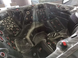 СПА бассейн Comfort SPA SUPRA (Супра) Vantage 230*230*96 Luxury+media+winter