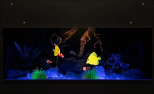 Електрокамін Dimplex Opti-V Aquarium