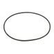 Ущільнювальне кільце Emaux кришки насоса SP 2011113