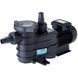 Насос Hayward PL 81006E2 IE2 (220 В, 15 м3/год, 1 HP)