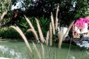 Озерная мембрана Natural Pools, Eco green 7219 зеленая, армированная 1.5мм, 1.65мх25м