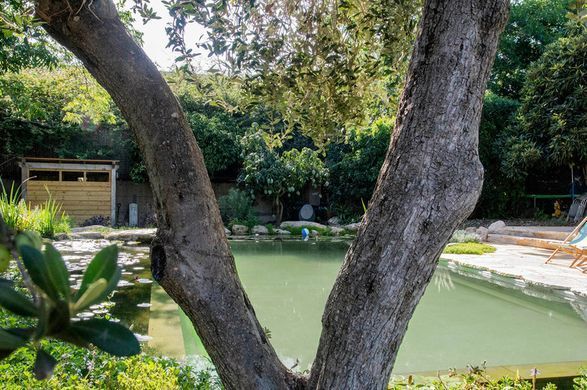 Озерна мембрана Natural Pools, Eco green 7219 зелена, армована 1.5 мм, 1.65мх25м