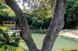 Озерна мембрана Natural Pools, Eco green 7219 зелена, армована 1.5 мм, 1.65мх25м