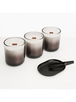 Камінокомплект Tagu MAGNA ZenFlame білий