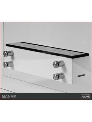 Биокамин Kami MANAM