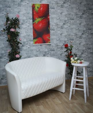 Обігрівач настінний плівковий інфрачервоний "Картина Полуниця", 200 Вт "Сейм"