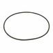 Уплотнительное кольцо Aquaviva для ротора крана 1,5"/2.0" Top Mount