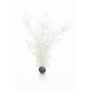 biOrb Морська рослина L, білий - 46072