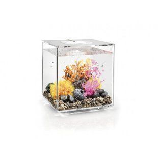 Аквариум biOrb CUBE 60 MCR, прозрачный - 72027