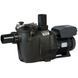Насос Hayward RS II RS3020VSTD (220В, 25 м3/ч, 2HP), с пер. скор.