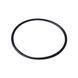 Гумова прокладка під кришку Emaux SS/O-Ring for lid для SS 2011074