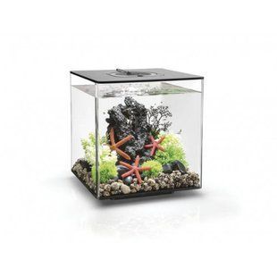 Аквариум biOrb CUBE 60 MCR, черный - 72026