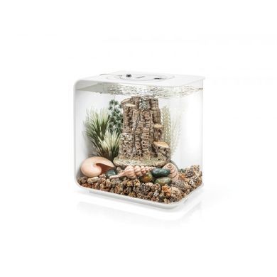 biOrb Комплект декору Лісовий ритм - 86372