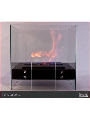 Біокамін Kami TANAGA 4