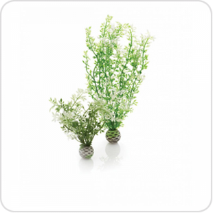 biOrb Комплект из 2 водных зимних цветков - 46067