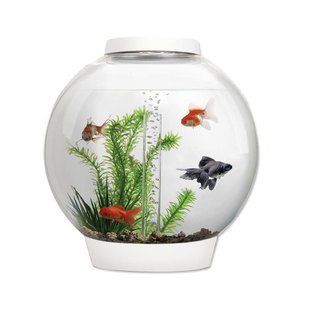 Аквариум biOrb CLASSIC 30 LED, белый - 72007