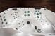 Гидромассажный СПА бассейн COBALT-1 Vortex Spas