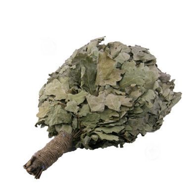 Віник дубовий