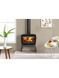 Чавунна піч Dovre VINTAGE 50