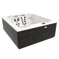 Spa басcейн Bullfrog Spas M-series M6 (США), 231*203*86 см