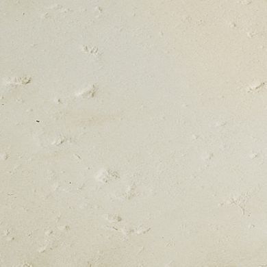 Камень 50х50х2.5см террасный CLUNI, тон Colombier