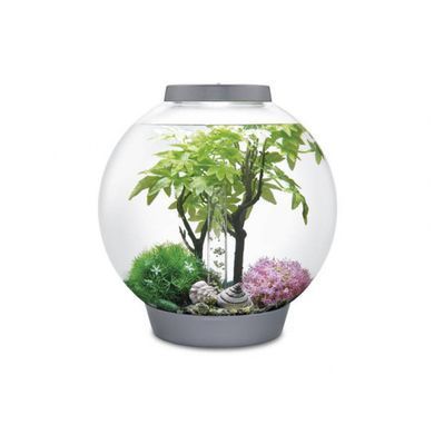 Комплект декора к аквариуму на 30 л, лето - 55029