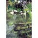 Скиммер Biosys Skimmer Plus - 57137