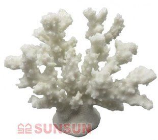 КОРАЛ МИСТЕЦЬКИЙ SUNSUN "АКРОПОРА ВЕЛИКИЙ"