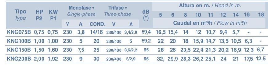 Насос KNG 200 26,2 м3/ч, 50/63 мм, 1,92 кВт, 220В, без префильтра